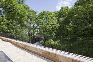 woodland view 5 sm.jpg
